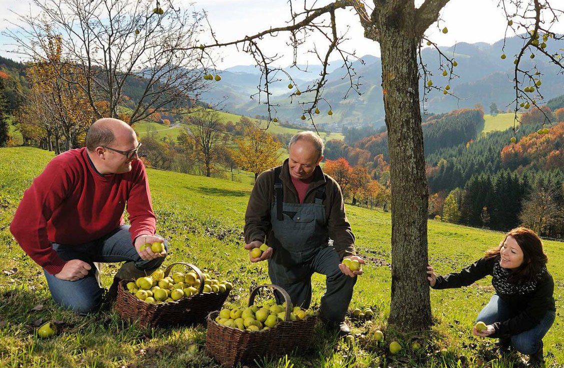 Schnäpse, Obst, Weingut Müllner