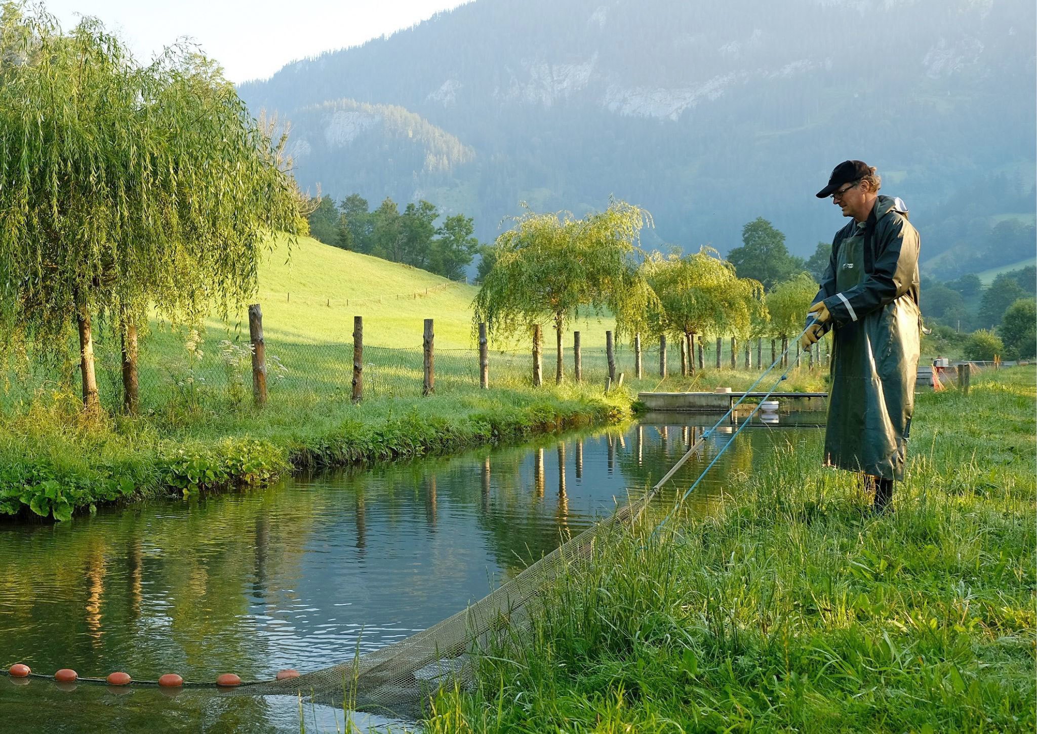 Klaus Decleva, Biofisch aus Mariazell