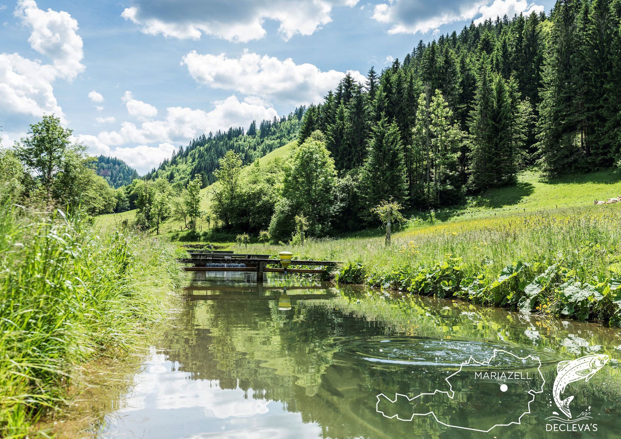 Teiche der Biofische in Mariazell