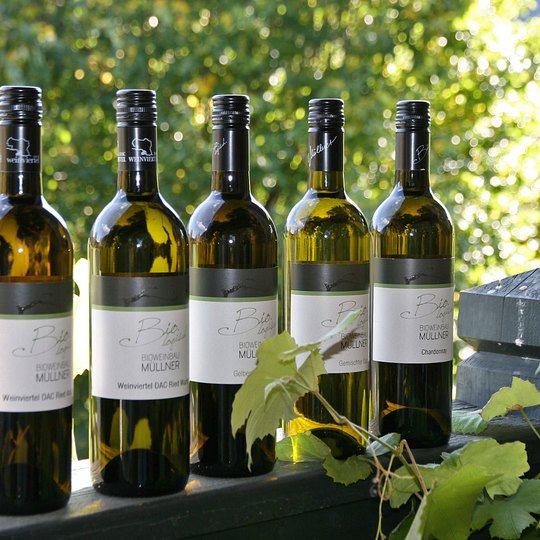 Wine, Juices & Schnapps