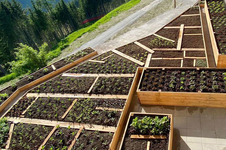 Beete am Lumberjack mit den Pflanzen von Winklhofer